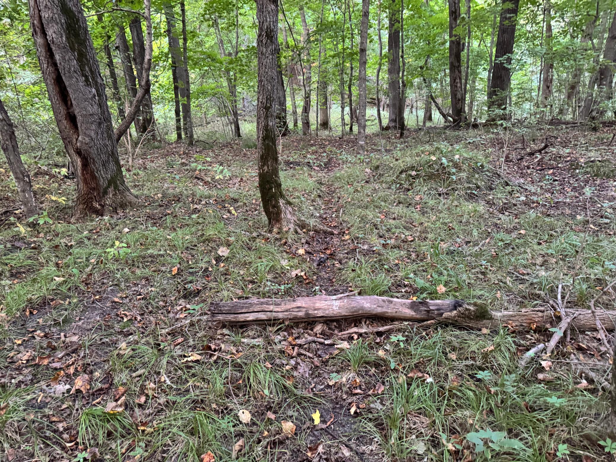 (LOT 2) 24612 NE Rock Lake Road, Rochert, Minnesota image 32