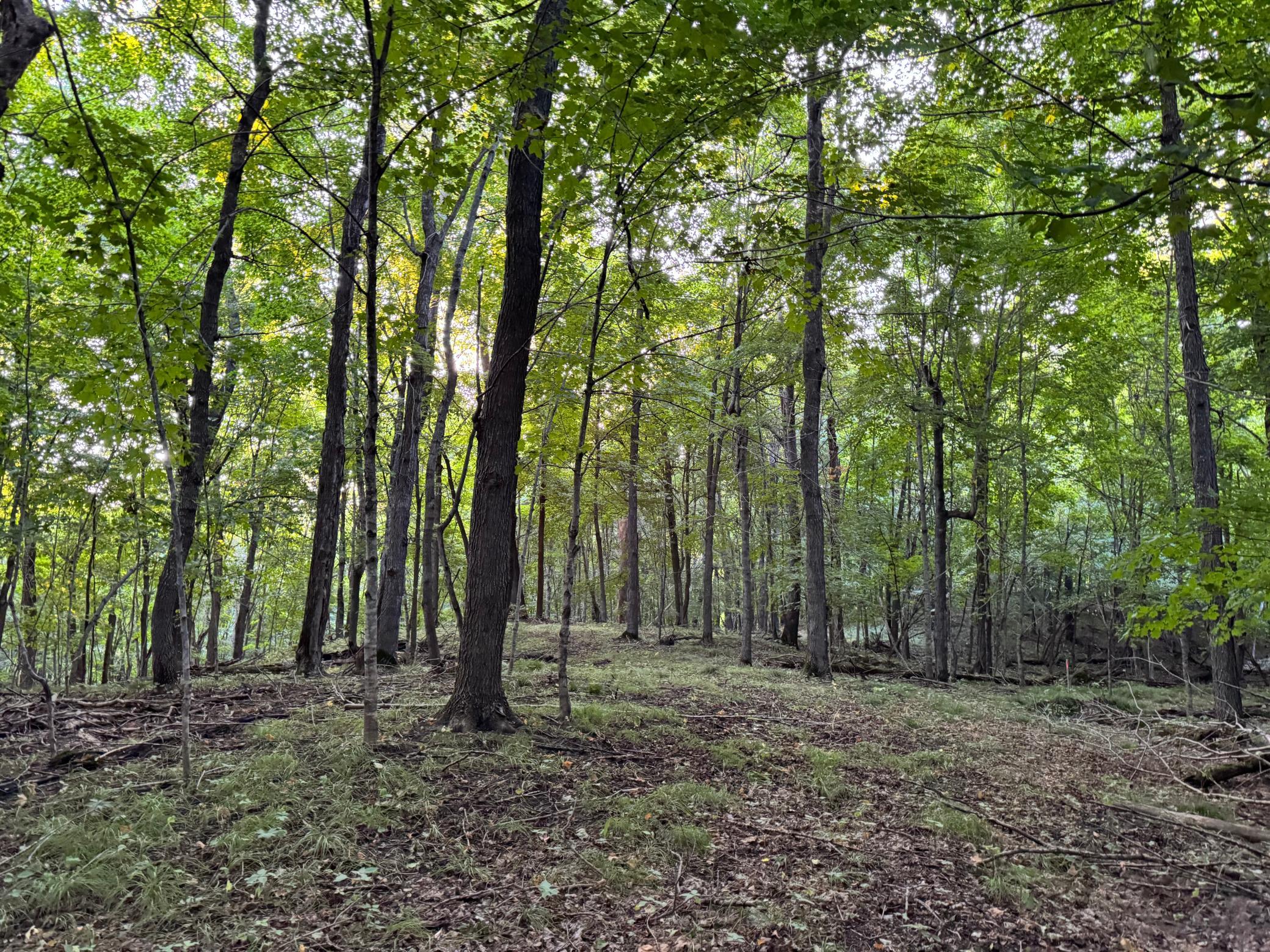 (LOT 2) 24612 NE Rock Lake Road, Rochert, Minnesota image 37
