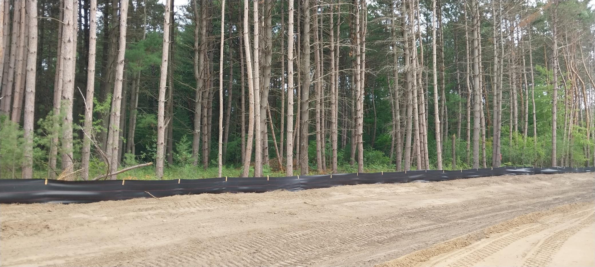 Lot 6 Dahlia Court, Isanti, Minnesota image 29
