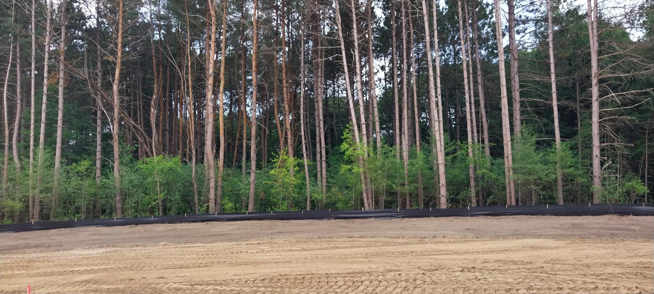 Lot 6 Dahlia Court, Isanti, Minnesota image 34