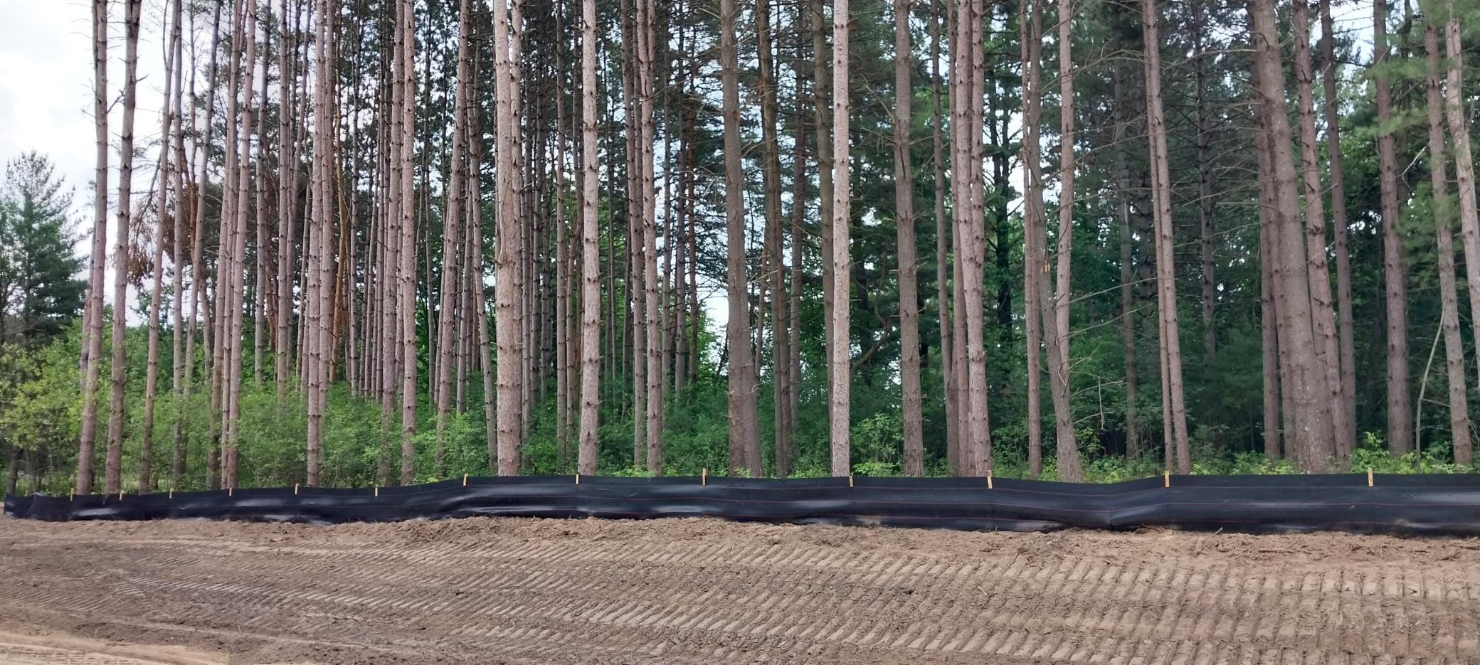 Lot 6 Dahlia Court, Isanti, Minnesota image 32