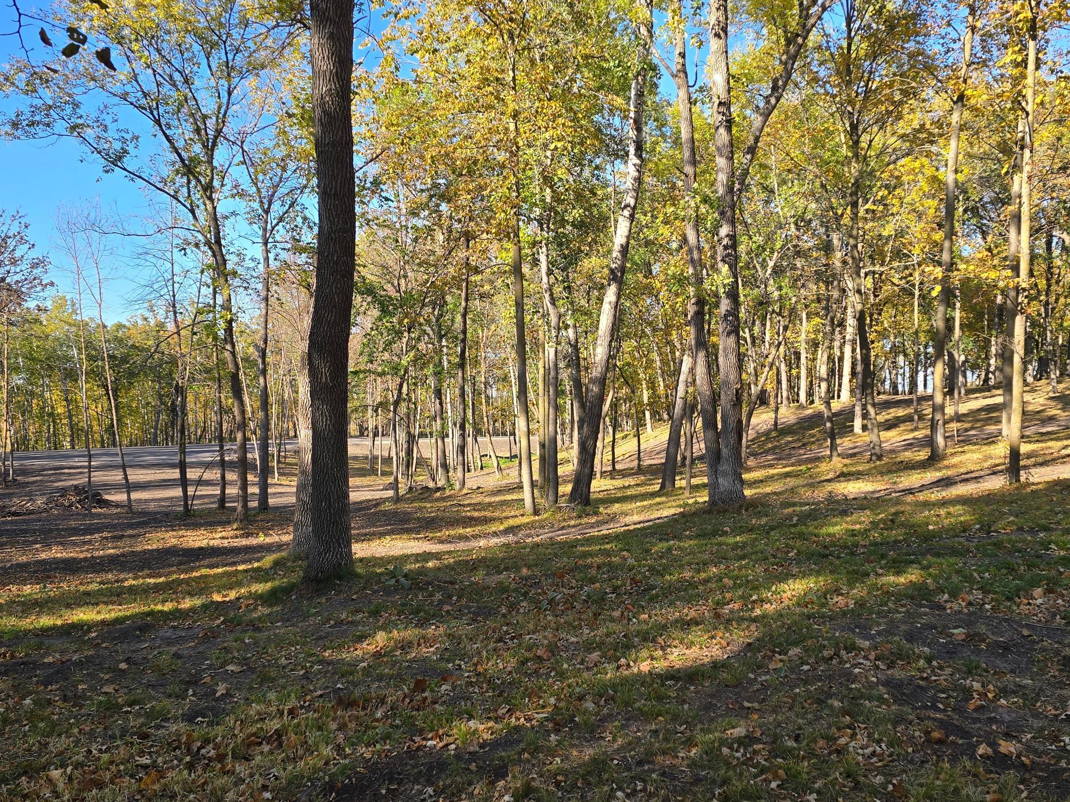 Tract E Blybergs Lane, Pelican Rapids, Minnesota image 4