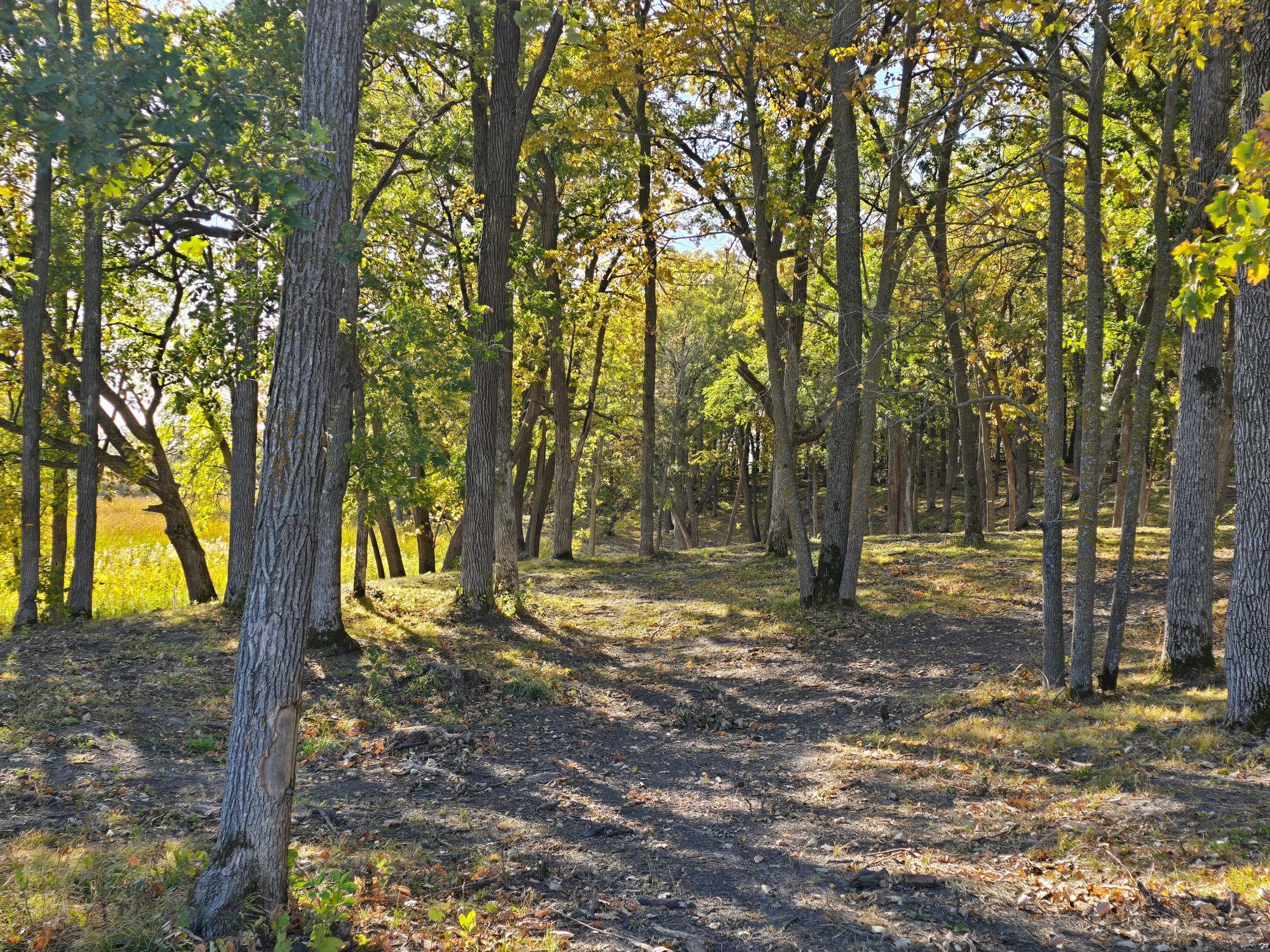 Tract E Blybergs Lane, Pelican Rapids, Minnesota image 45