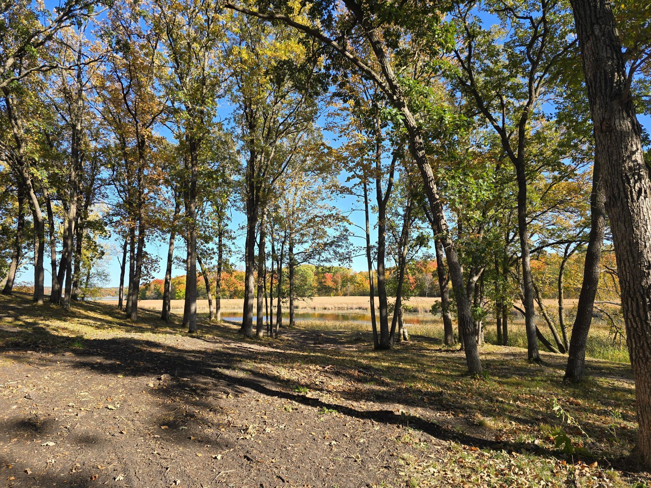 Tract E Blybergs Lane, Pelican Rapids, Minnesota image 43