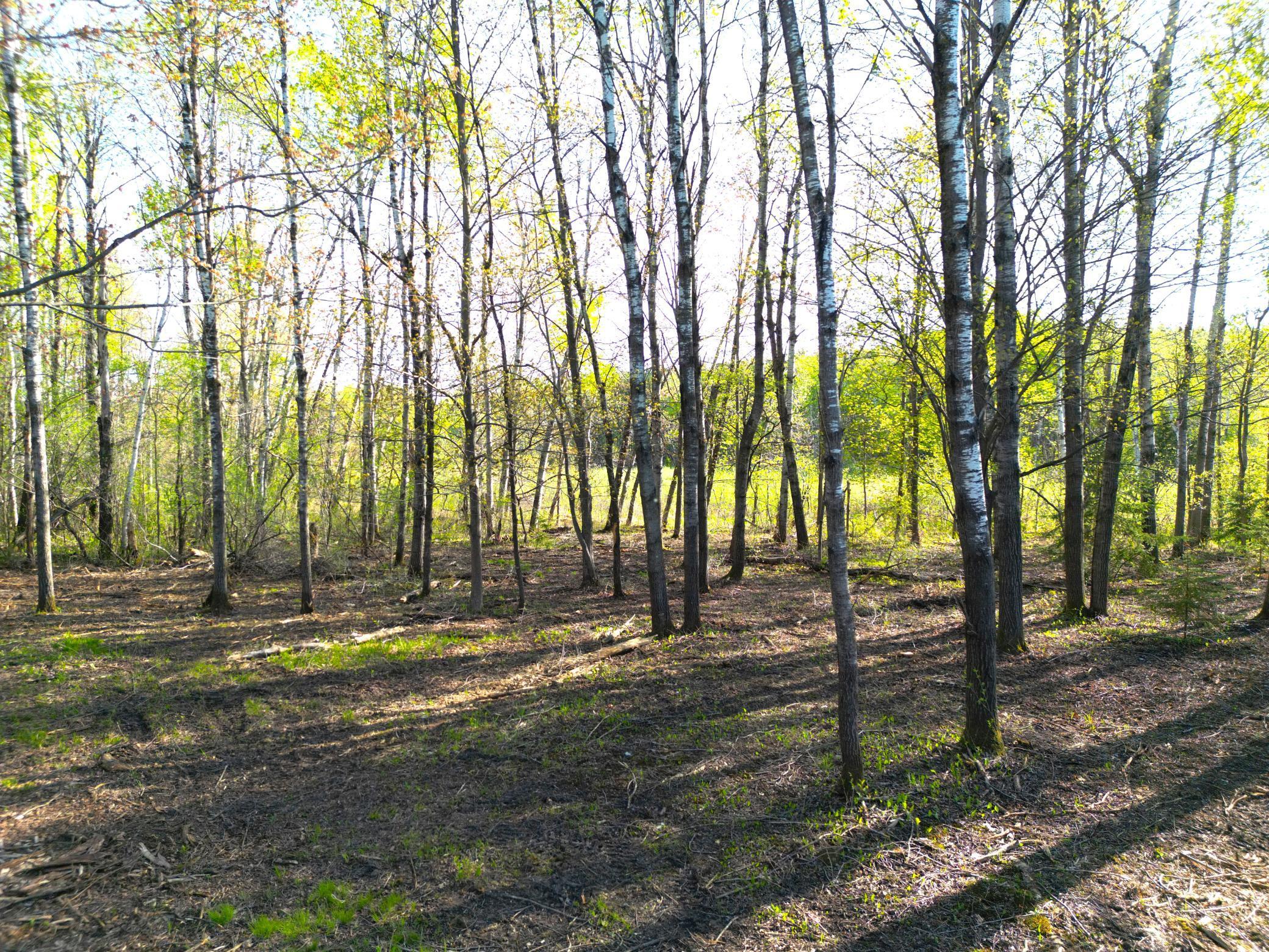 TBD Mallard Place, Sandstone, Minnesota image 18
