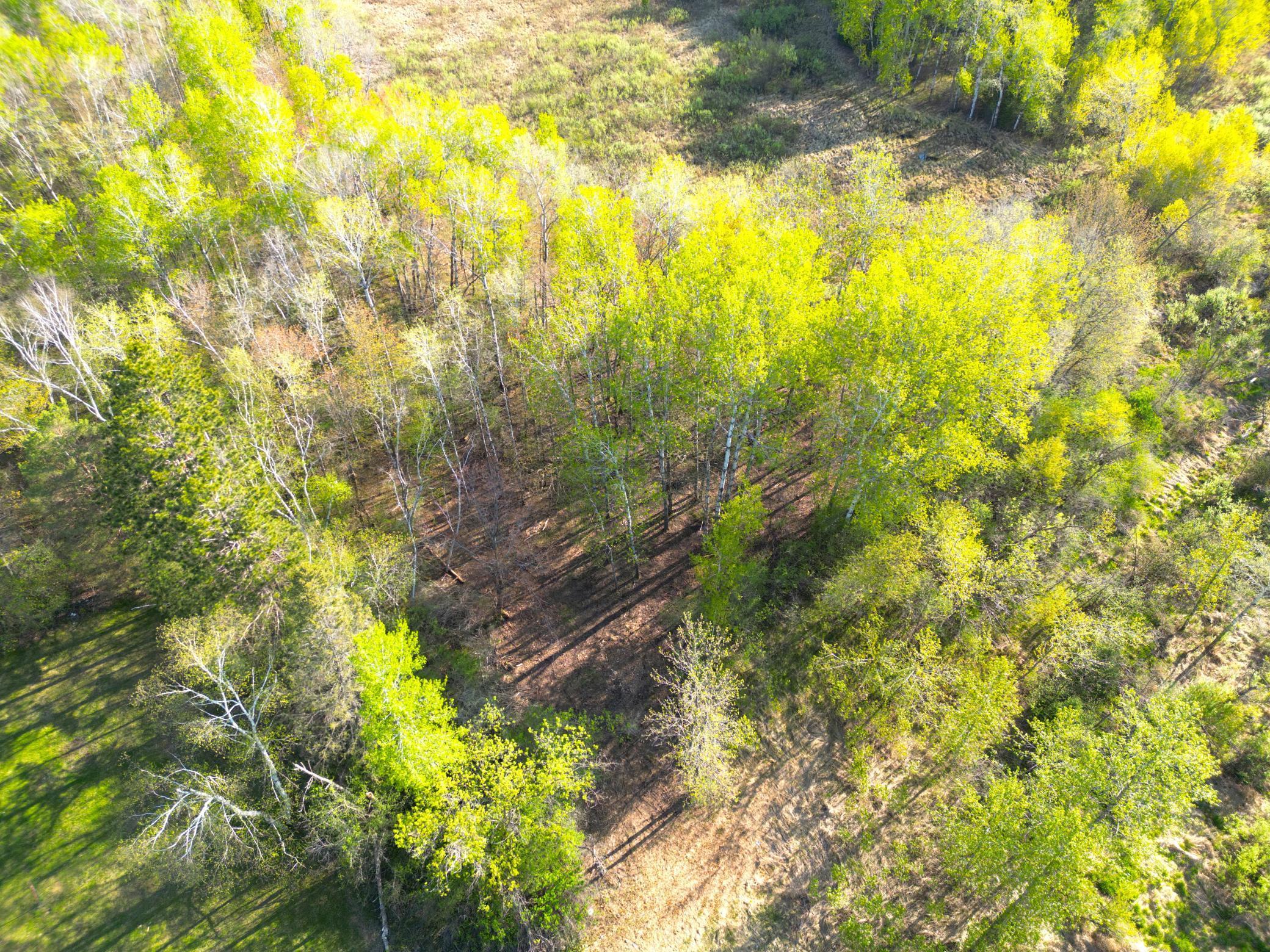 TBD Mallard Place, Sandstone, Minnesota image 12