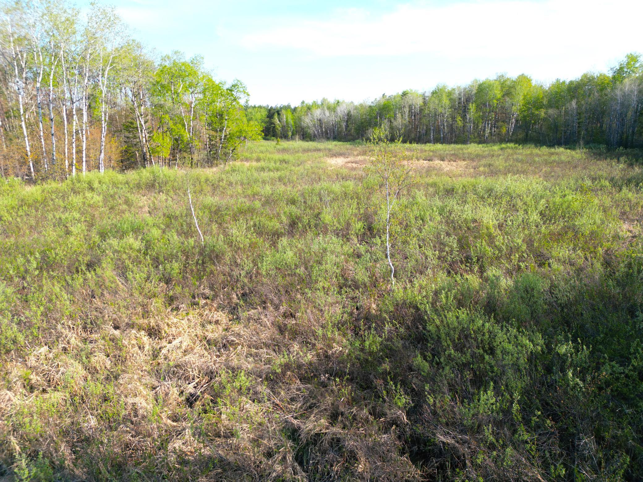 TBD Mallard Place, Sandstone, Minnesota image 13