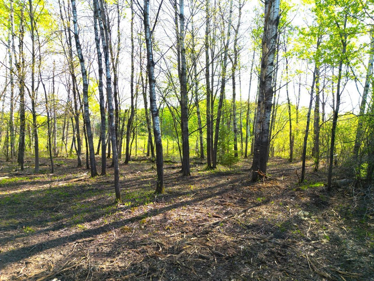 TBD Mallard Place, Sandstone, Minnesota image 19