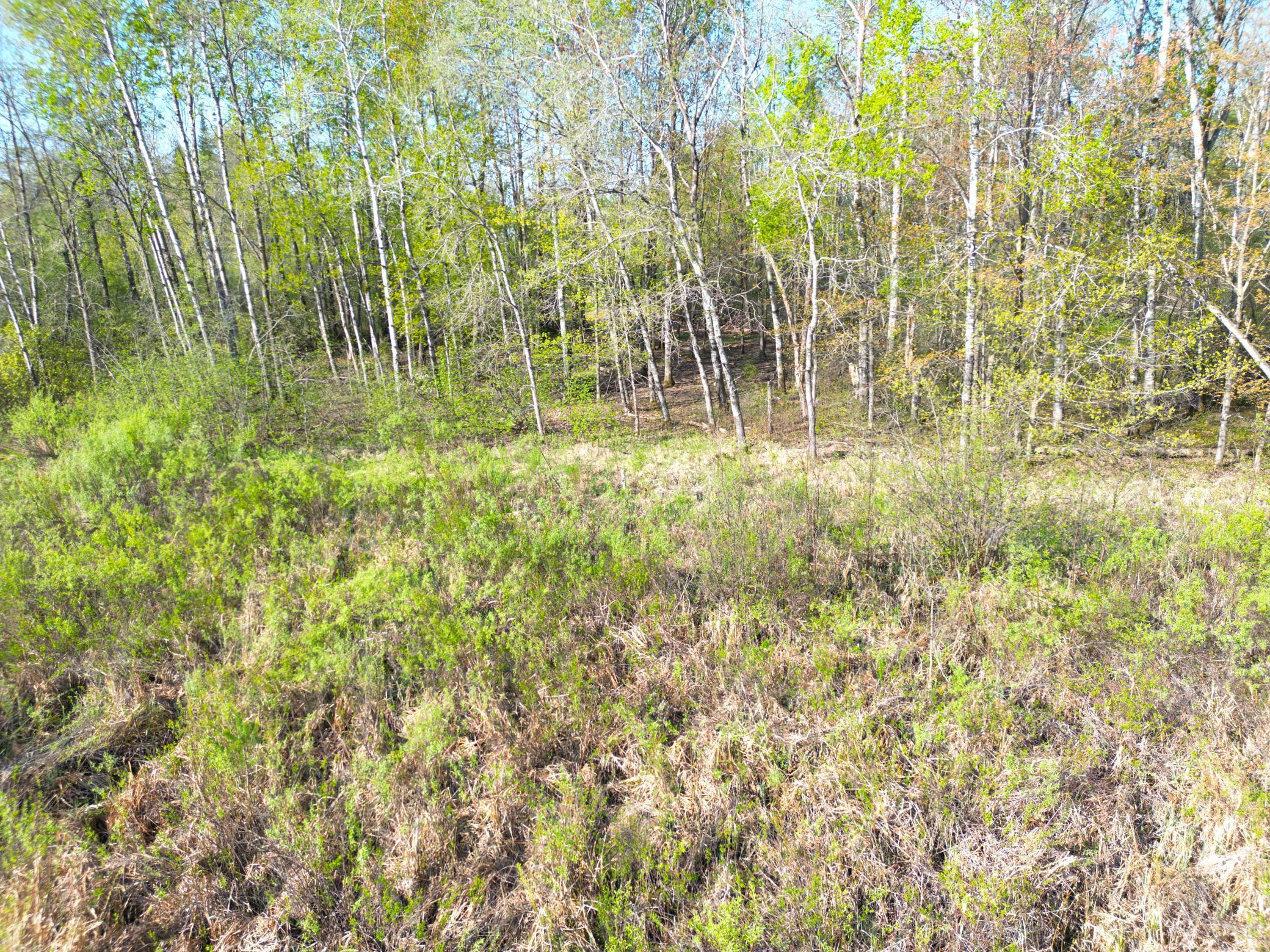 TBD Mallard Place, Sandstone, Minnesota image 14