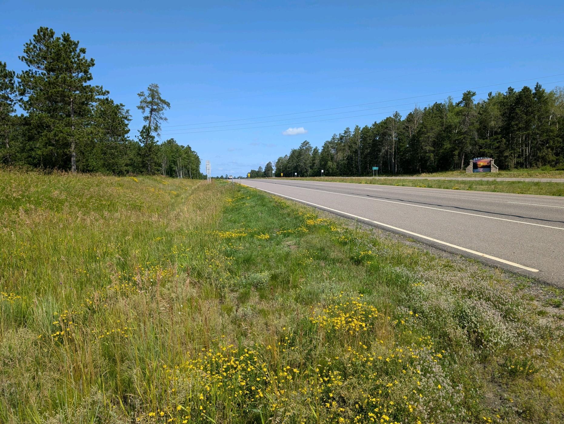 TBD Mn Hwy 371, Pequot Lakes, Minnesota image 8