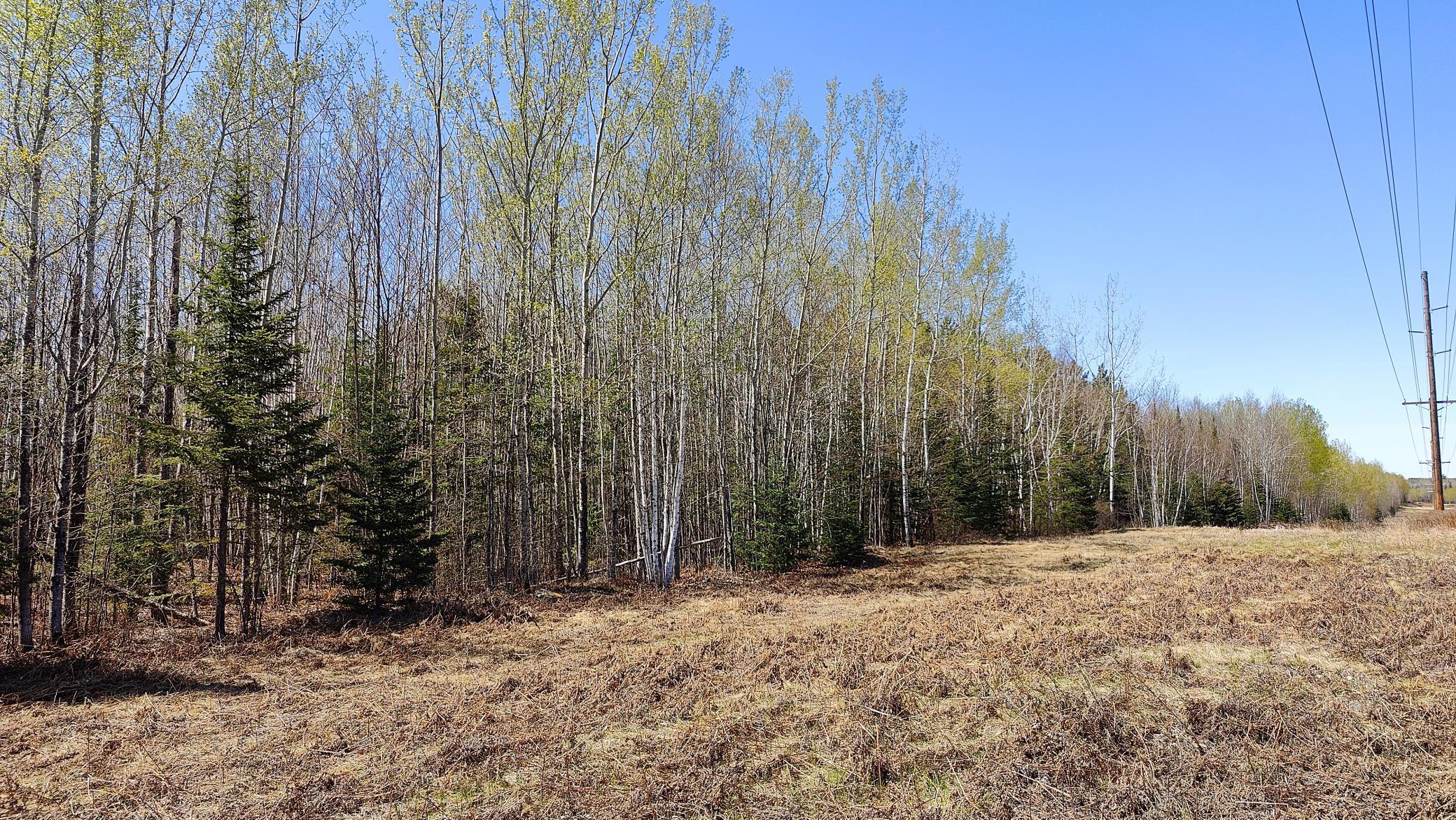 TBD2 Hwy. 115, Tower, Minnesota image 3