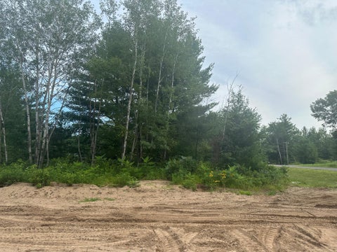 Vacant Land For Sale - LOT 1 BLK 1 Ridgewood Drive<br/> Morrison County, Randall, MN 56475