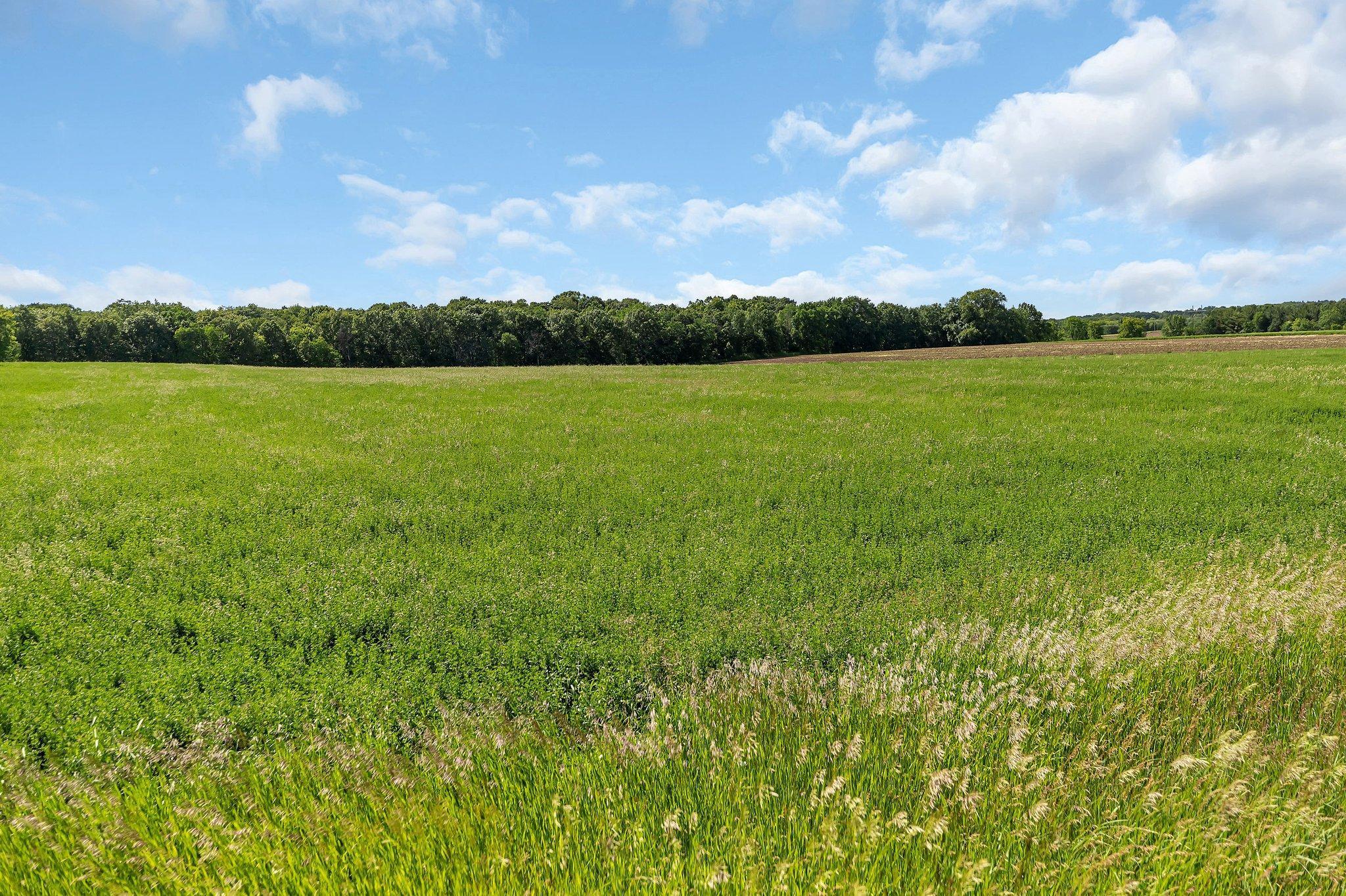 XXXXX County Road 2, Saint Joseph, Minnesota image 10