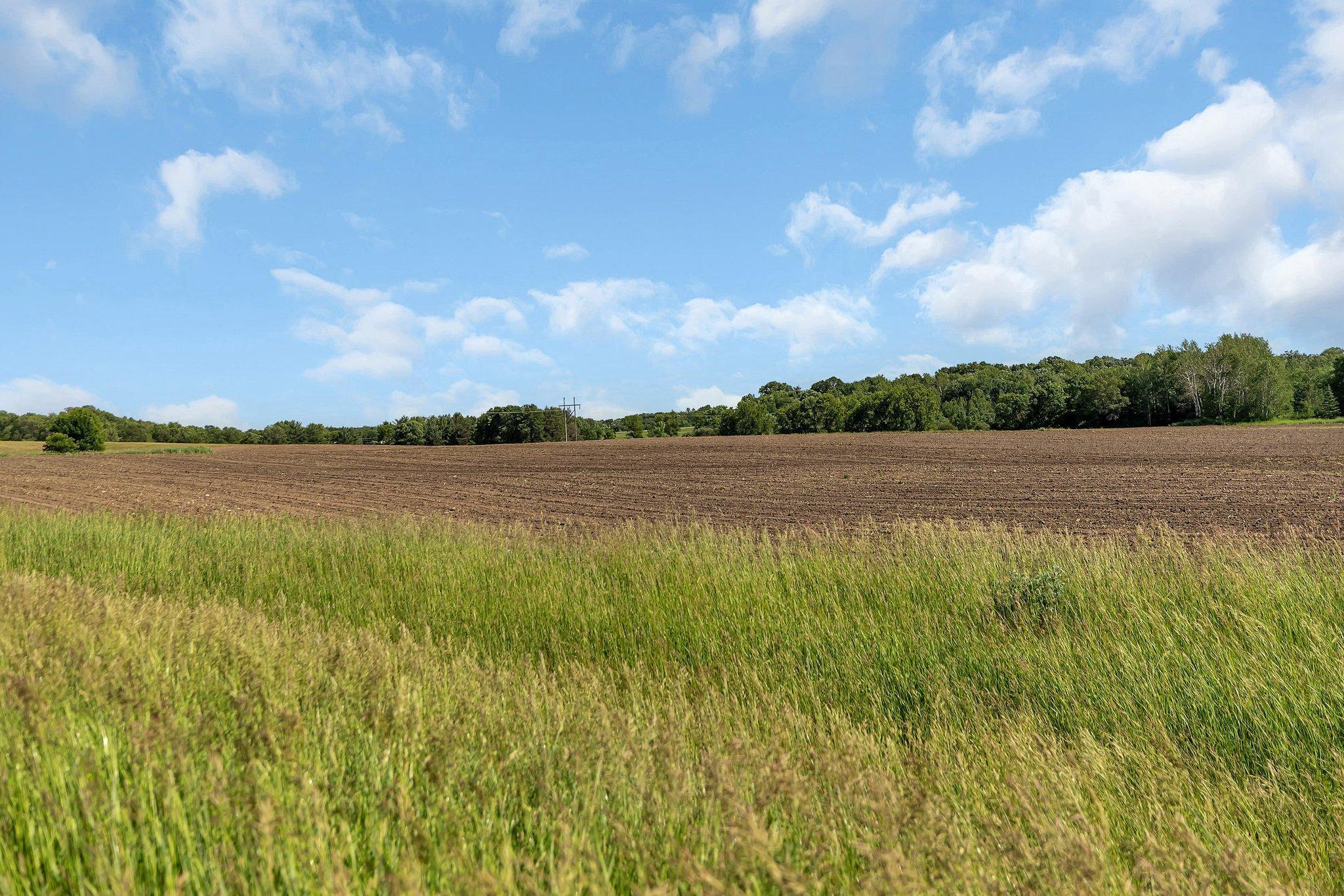 XXXXX County Road 2, Saint Joseph, Minnesota image 11