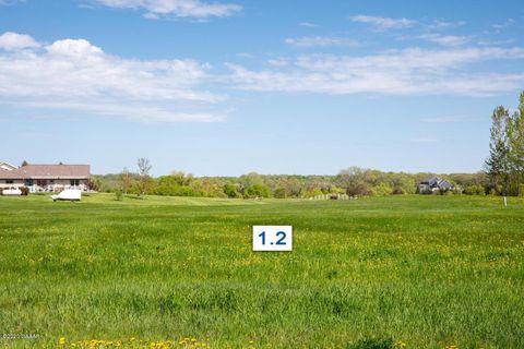 Vacant Land For Sale - 404 LOT1.2 Mallard Lane<br/> Douglas County, Brandon, MN 56315