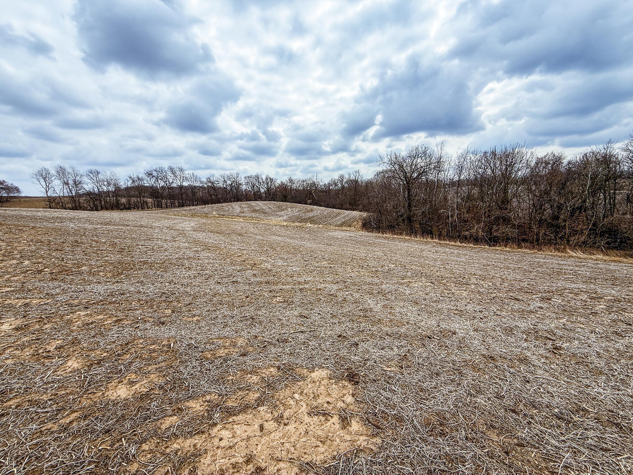 Xxx White Bridge Road, Rochester, Minnesota image 22