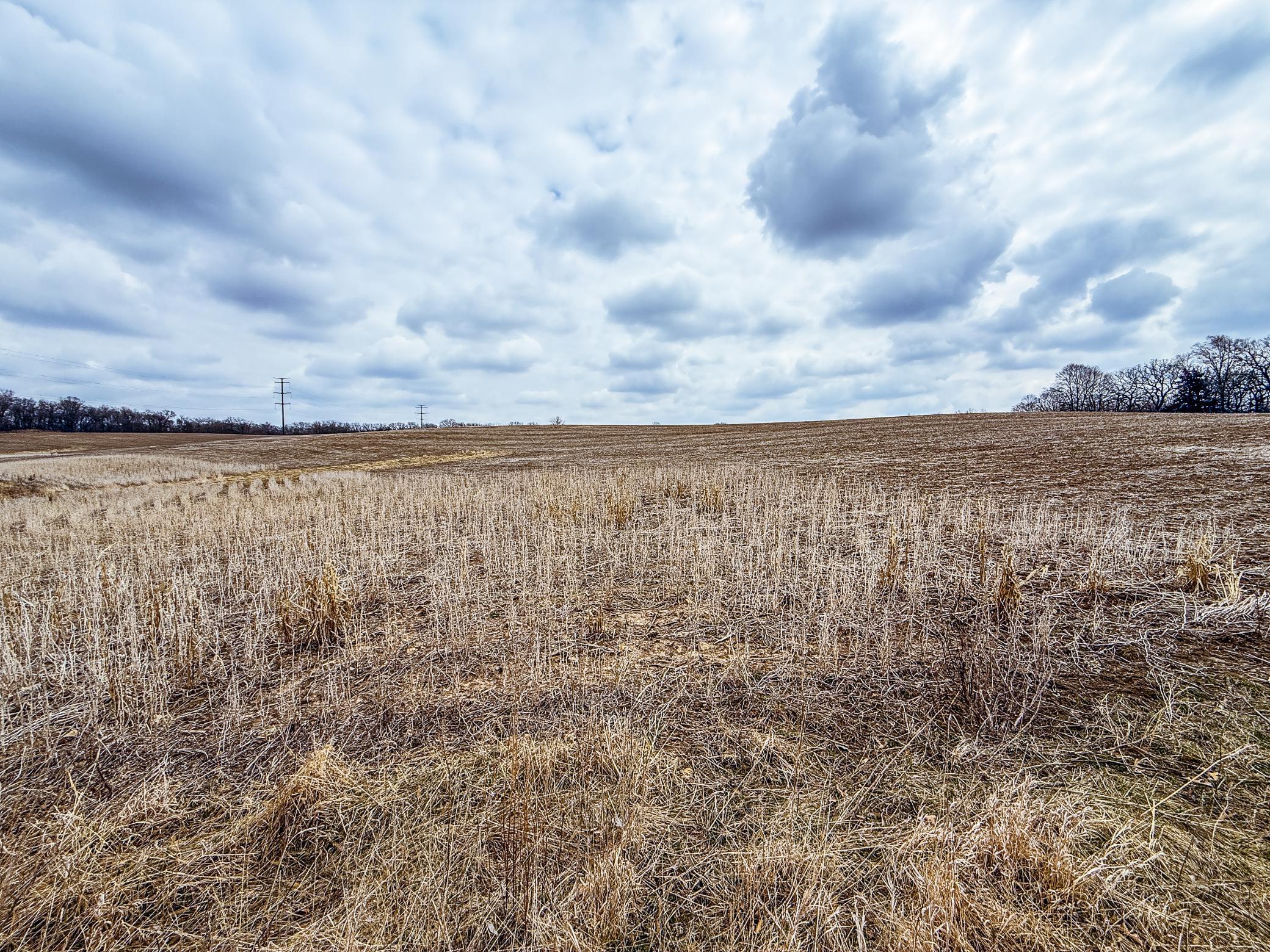 Xxx White Bridge Road, Rochester, Minnesota image 19