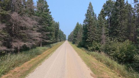 Vacant Land For Sale - TBD 80 ACRES Sunflower Road<br/> Beltrami County, Kelliher, MN 56650