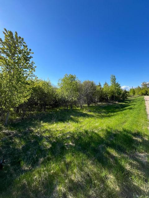 Vacant Land For Sale - LOT 4 - TBD 330th Street<br/> Roseau County, Warroad, MN 56763