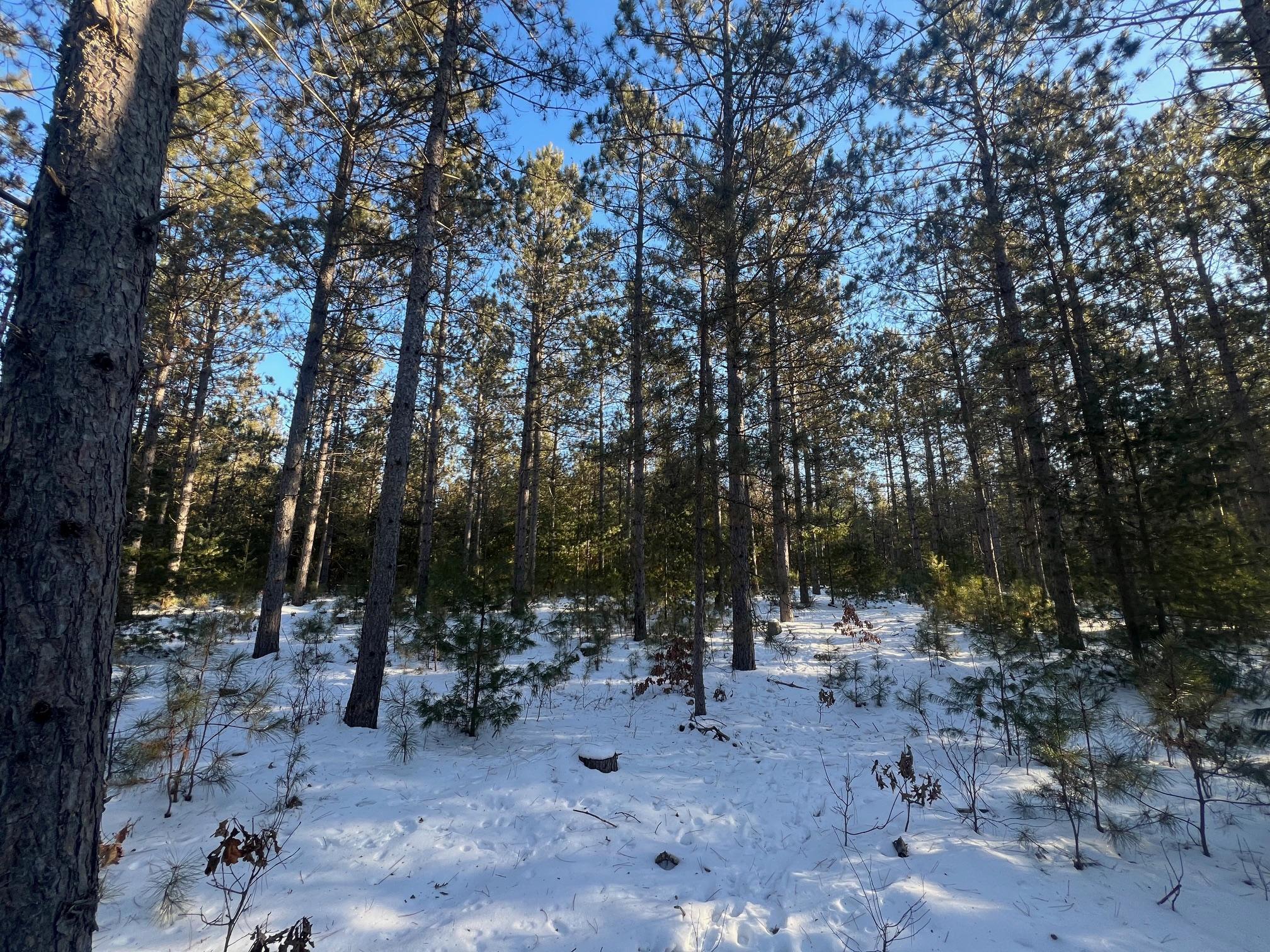 Xxxxx Black Brook Road, Webster, Wisconsin image 10