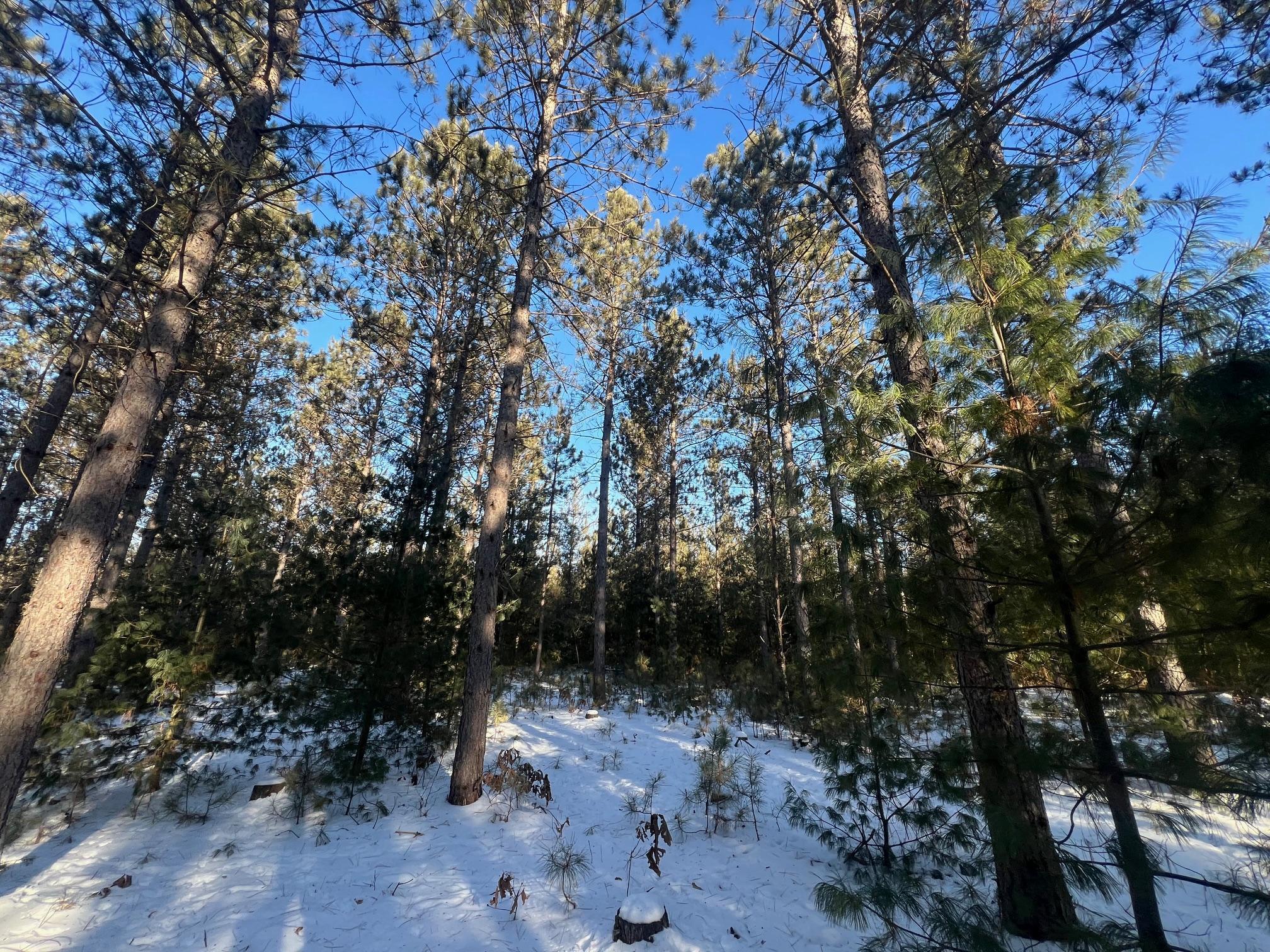 Xxxxx Black Brook Road, Webster, Wisconsin image 6