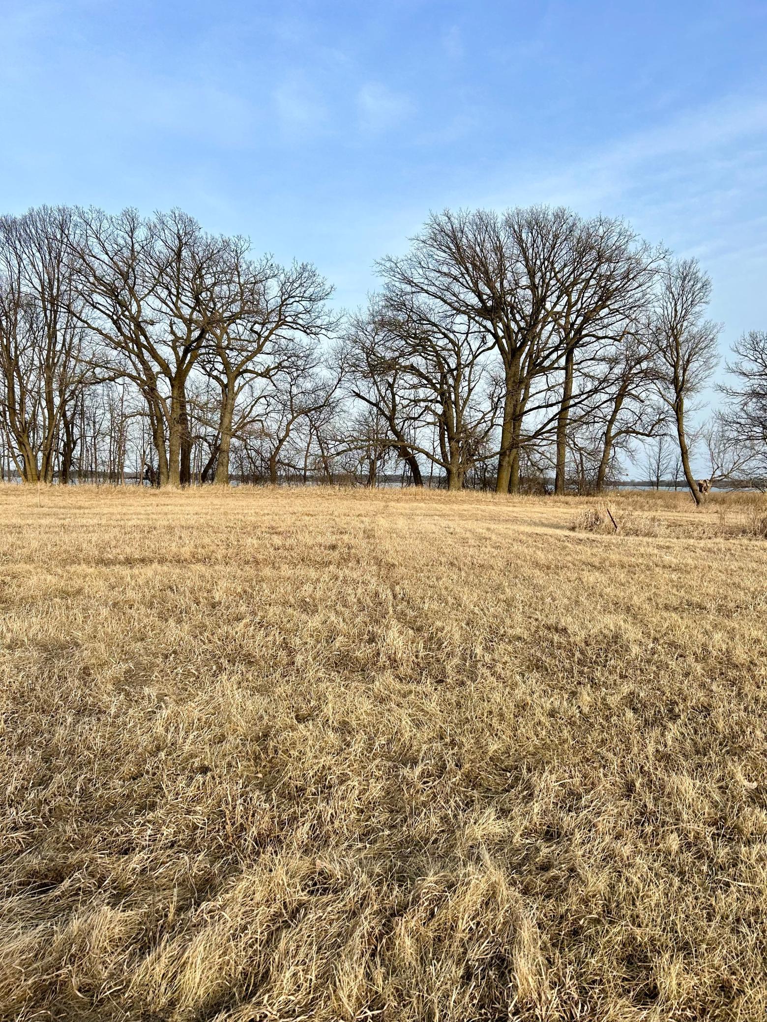 Lot 7 Hummingbird Way, Alexandria, Minnesota image 1