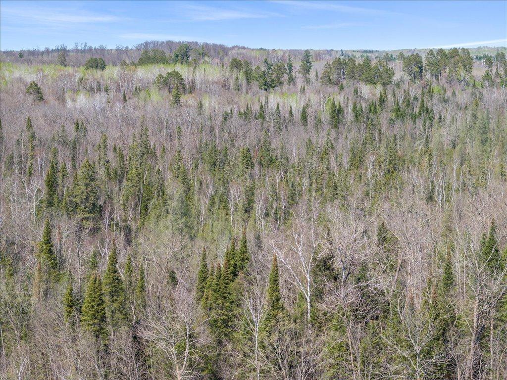 TBD Xxx, Park Rapids, Minnesota image 10