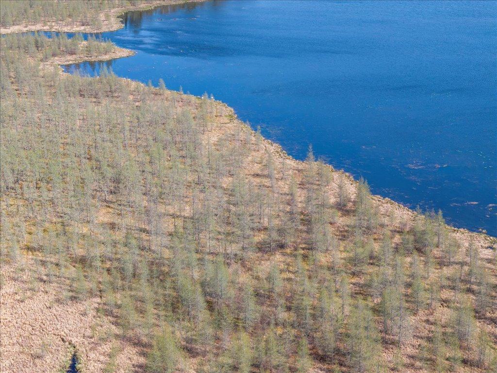 TBD Xxx, Park Rapids, Minnesota image 7