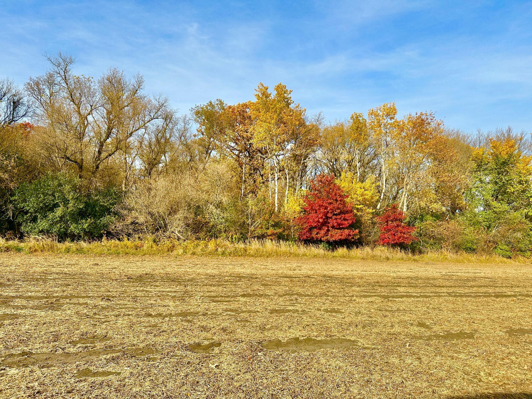 TBA 850th Avenue, Glenville, Minnesota image 6