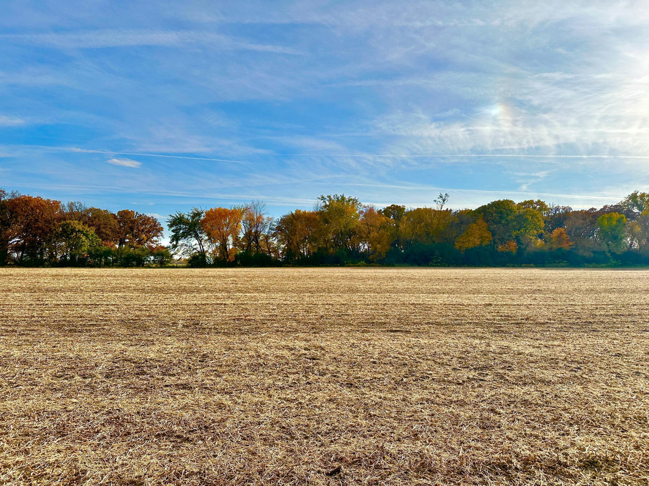 TBA 850th Avenue, Glenville, Minnesota image 7