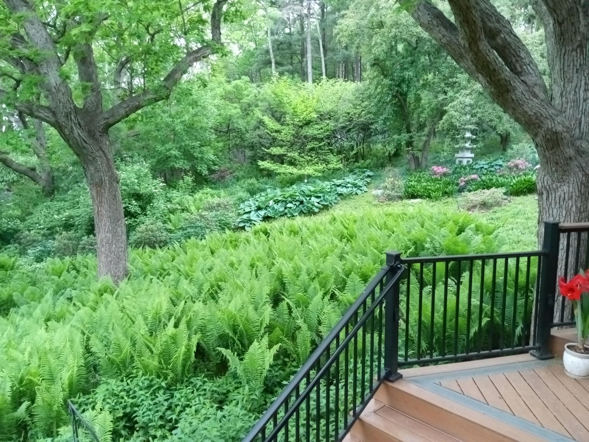 5338 Highland Road, Minnetonka, Minnesota image 16