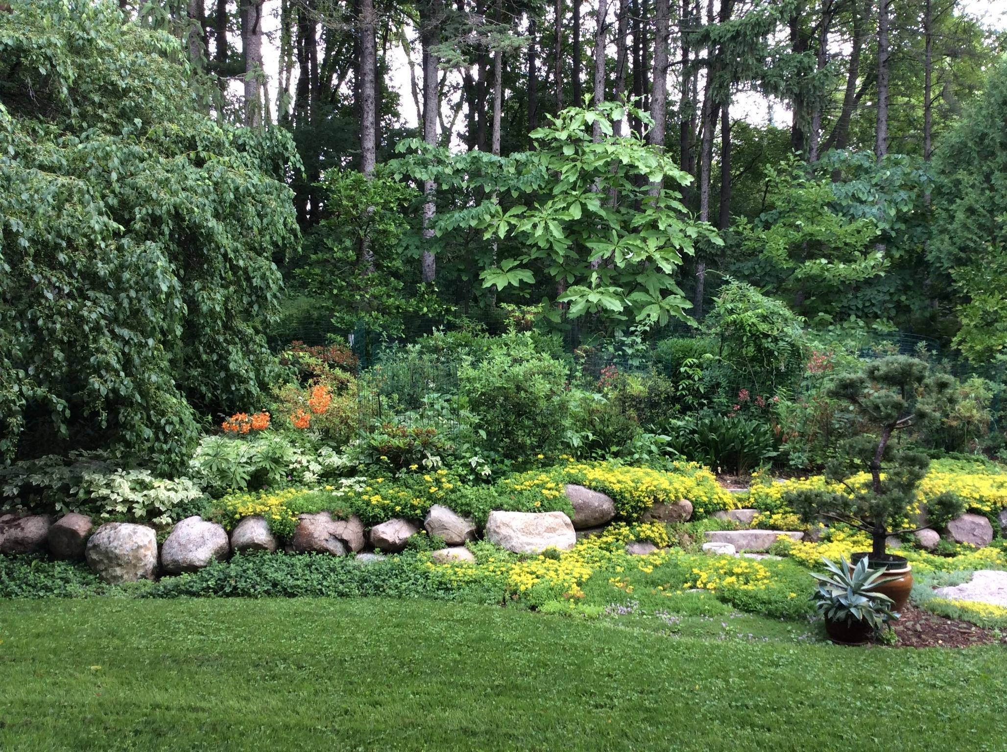 5338 Highland Road, Minnetonka, Minnesota image 19