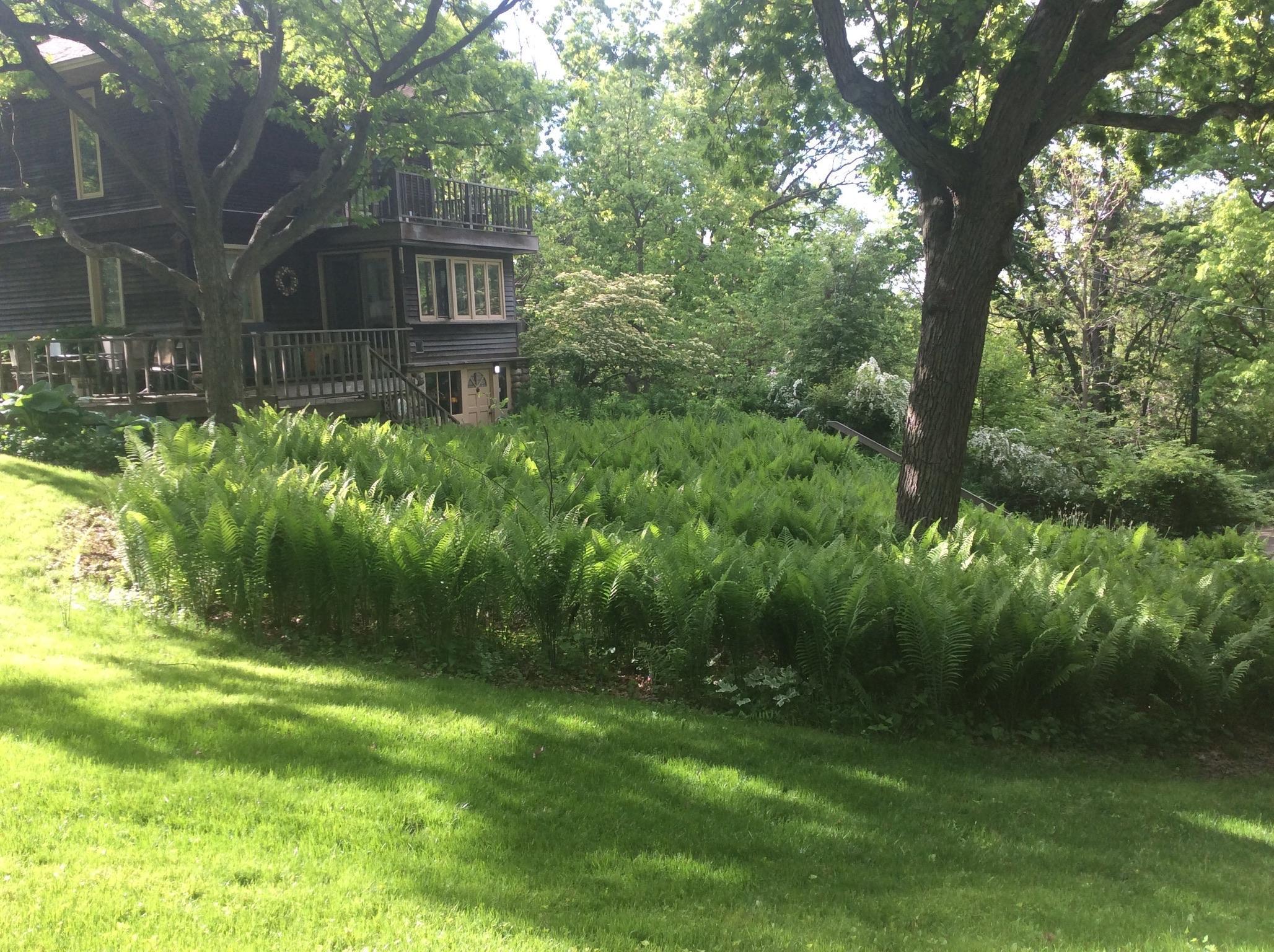 5338 Highland Road, Minnetonka, Minnesota image 14