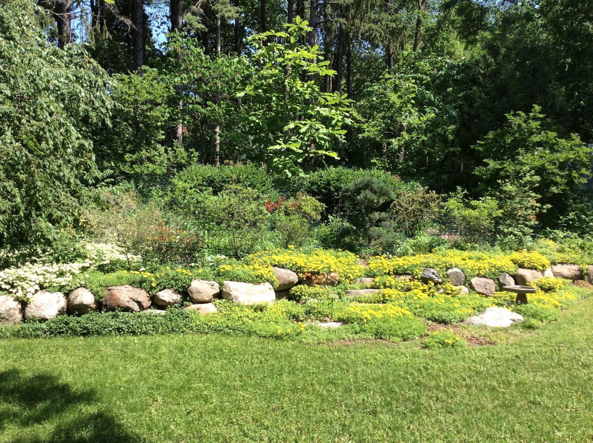 5338 Highland Road, Minnetonka, Minnesota image 30