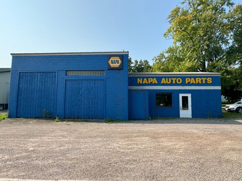 203 Park Avenue E, Renville, MN 56284 - #: 6575391