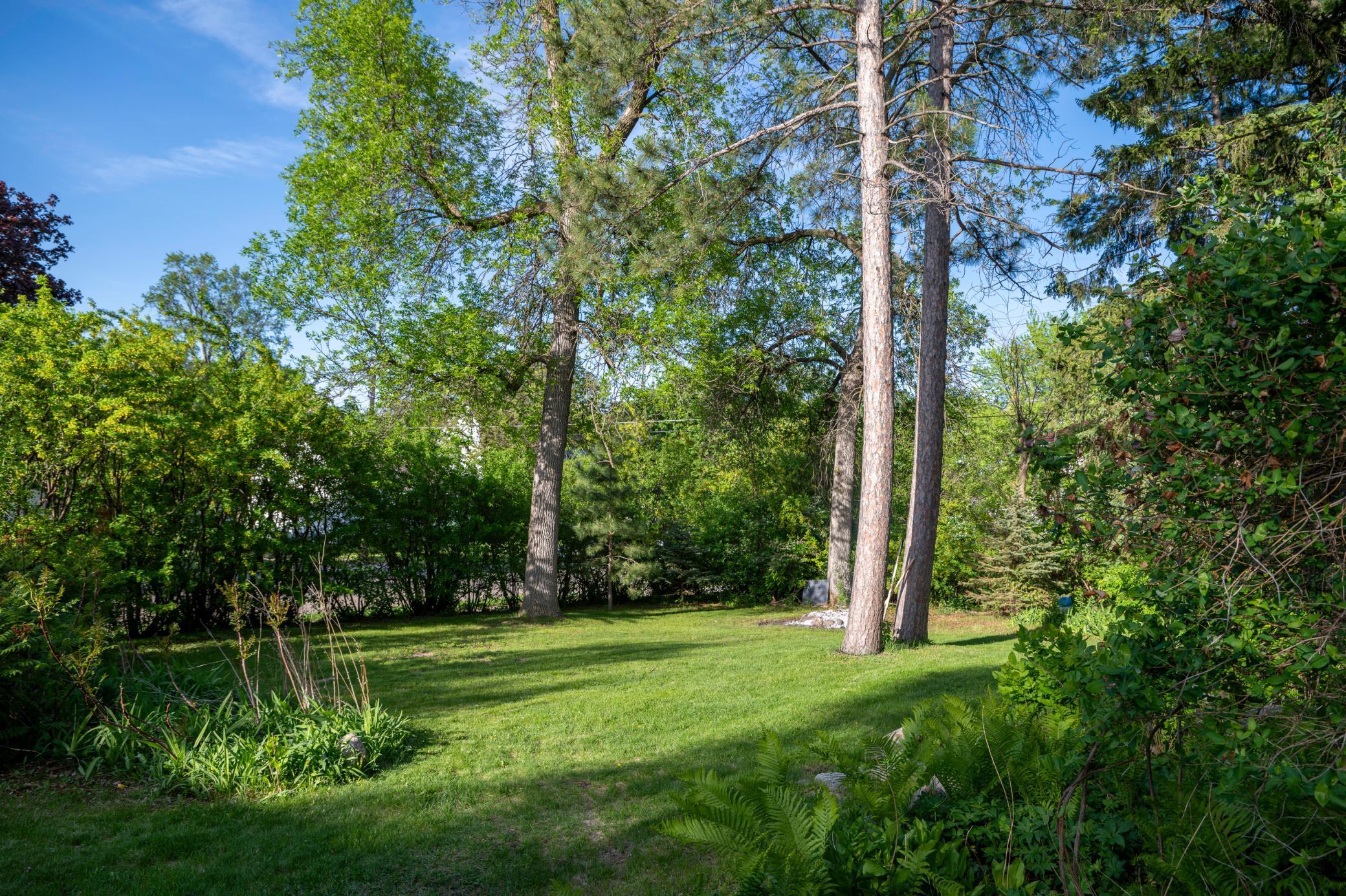 210 13th Avenue, Alexandria, Minnesota image 5