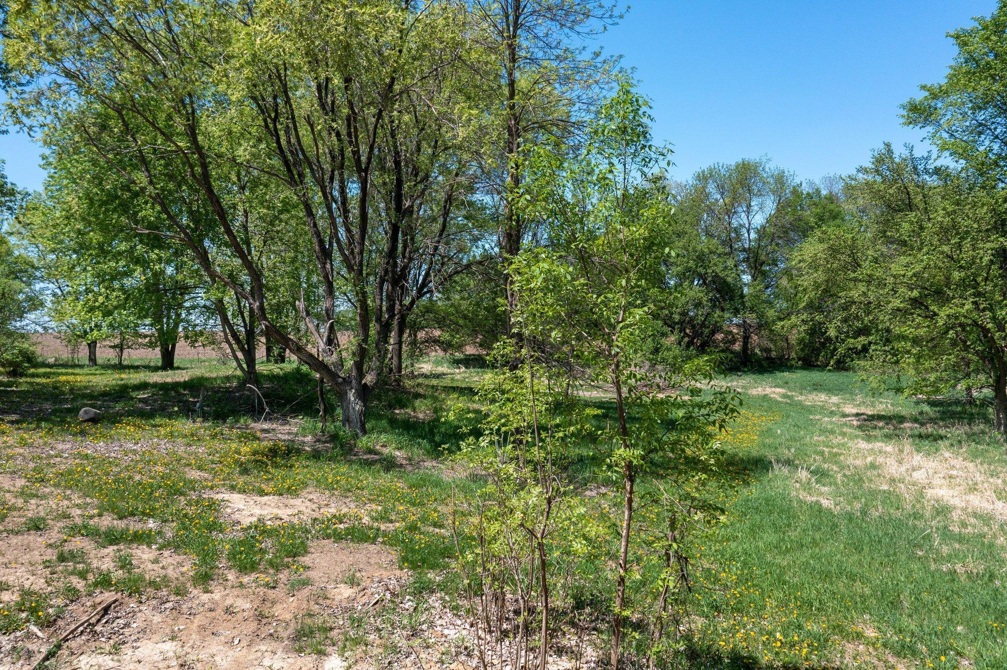 8242 52nd Street, Princeton, Minnesota image 17