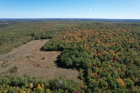 Vacant Land For Sale - TBD- 269th Avenue<br/> Laporte, MN 56461