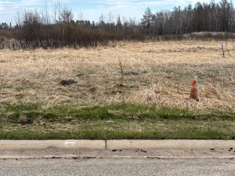 Vacant Land For Sale - LOT 8 Irvine Avenue<br/> Bemidji, MN 56601