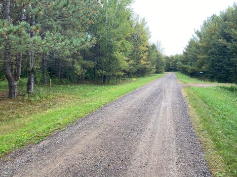 Vacant Land For Sale - TBD LOT 13 Owl Avenue<br/> Aitkin County, Aitkin, MN 56431