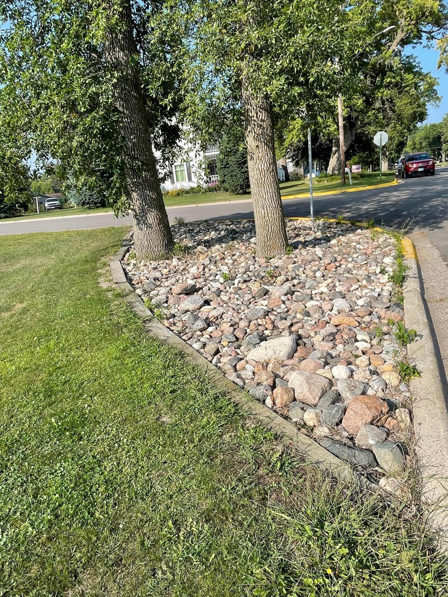 1016 6th Street, Clarkfield, Minnesota image 3
