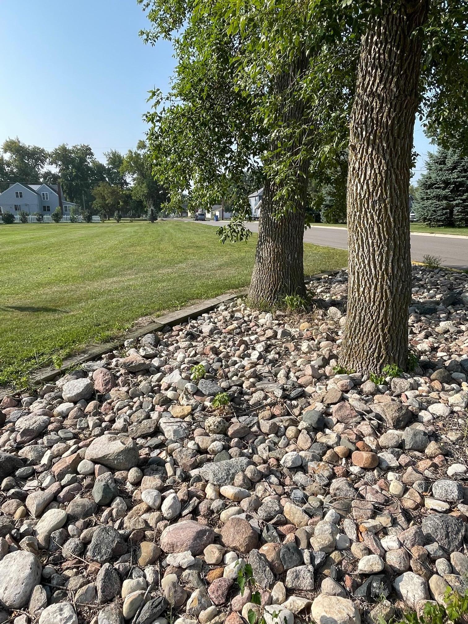 1016 6th Street, Clarkfield, Minnesota image 4