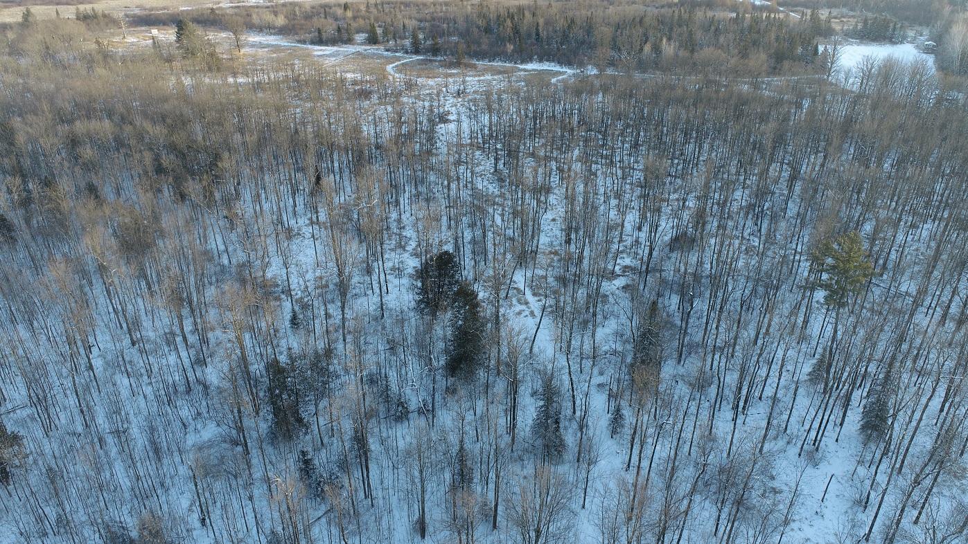 County Road Z, Cornell, Wisconsin image 6