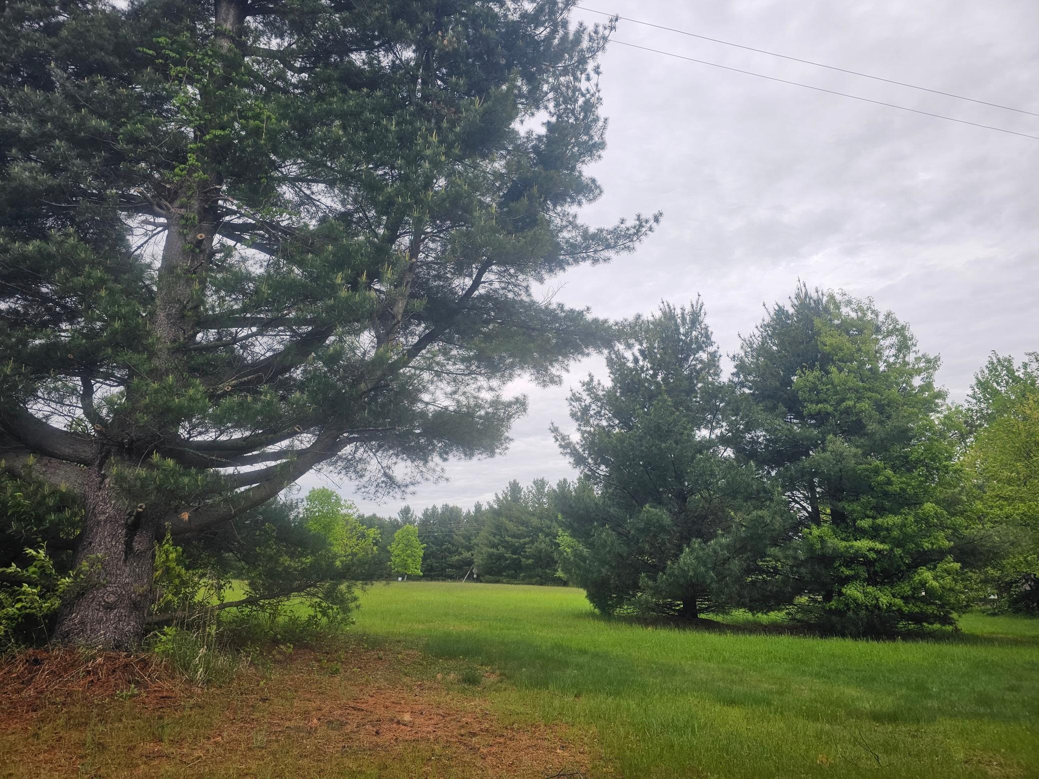 Lot C Reitz Road, Webster, Wisconsin image 1