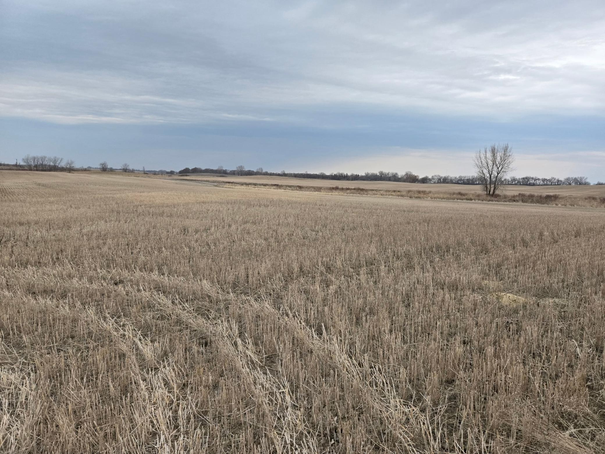(LOT A) TBD 100th Avenue, Barnesville, Minnesota image 8