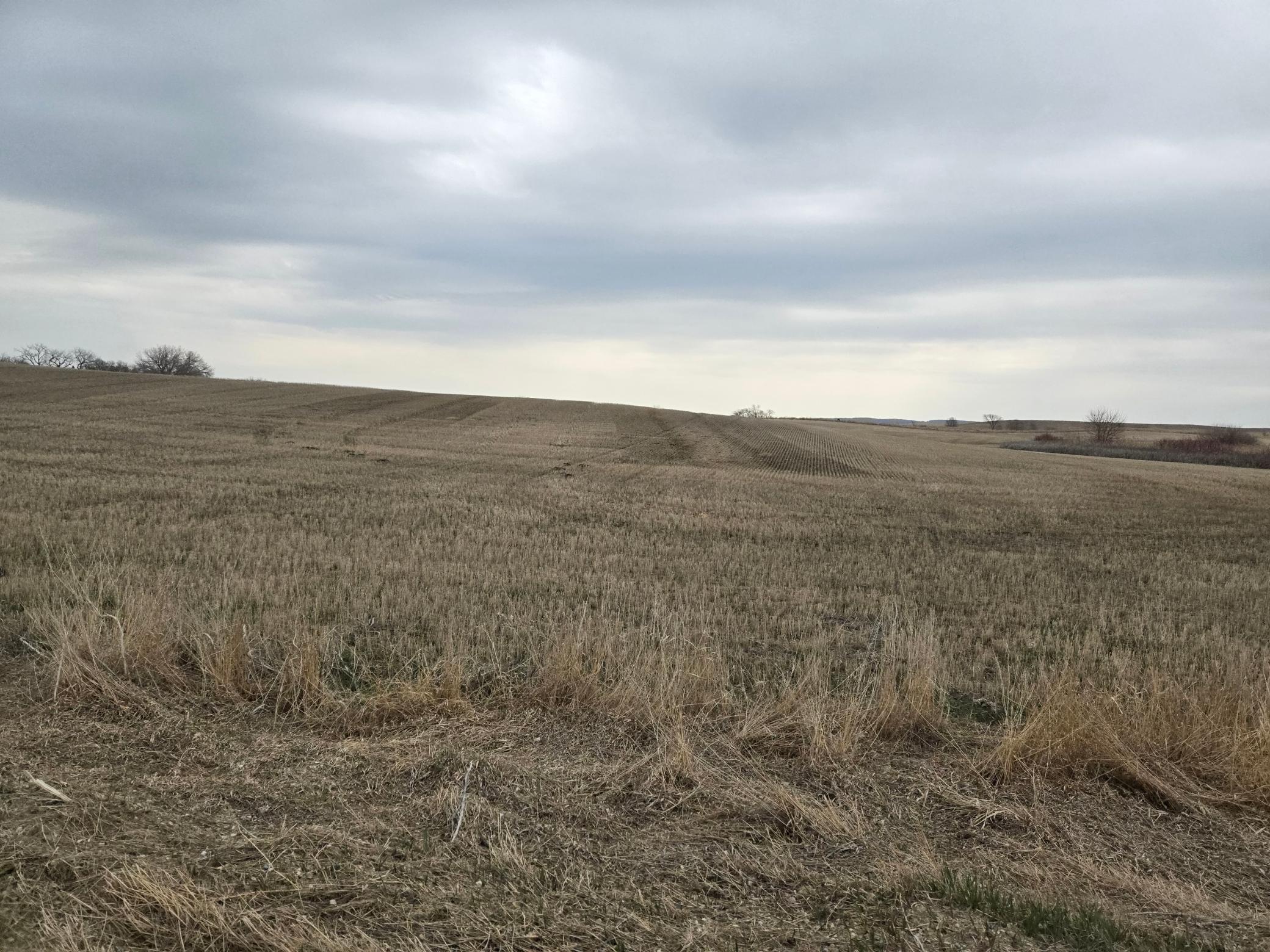 (LOT A) TBD 100th Avenue, Barnesville, Minnesota image 9