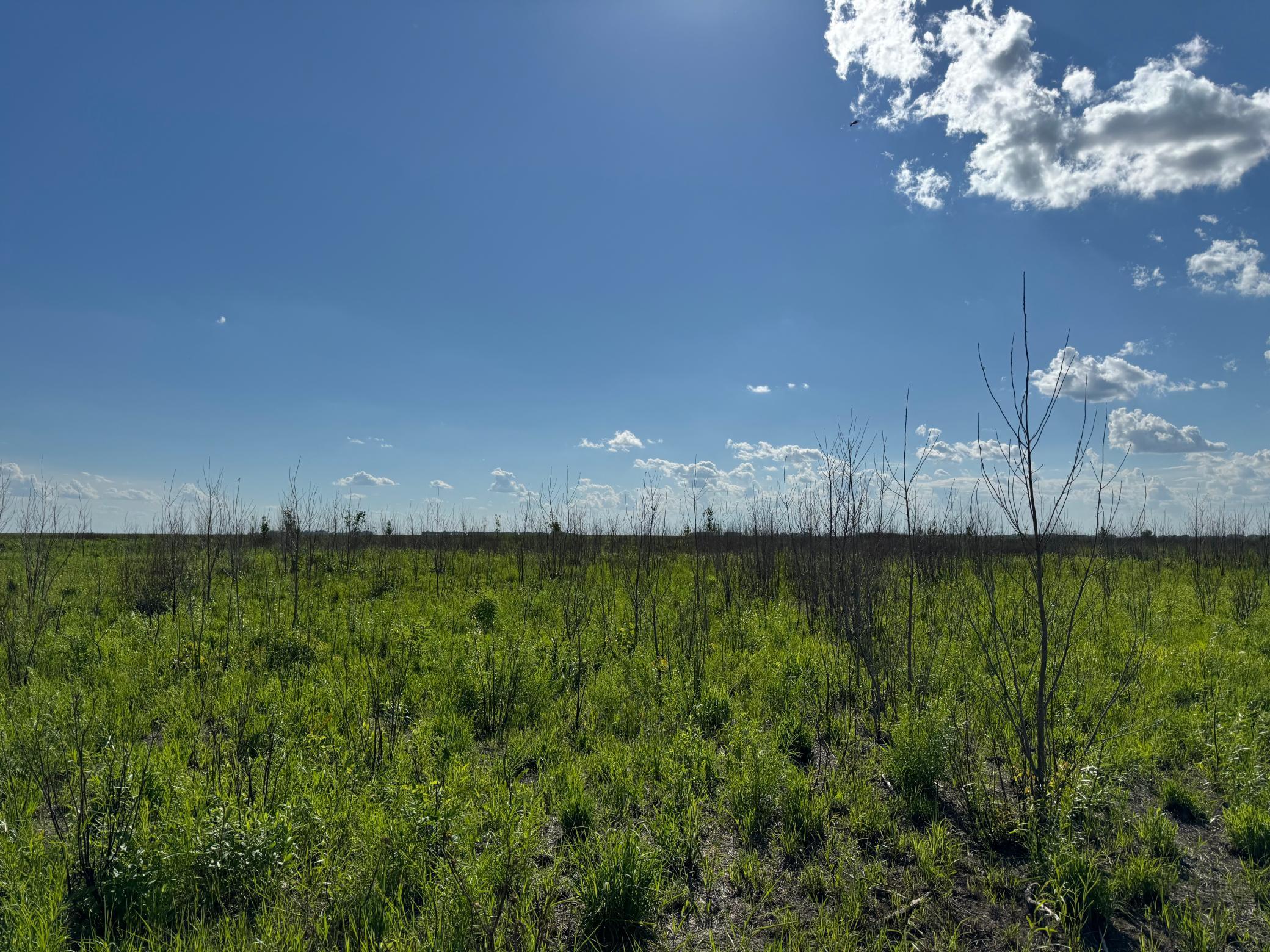 TBD County Road 26, Rothsay, Minnesota image 33