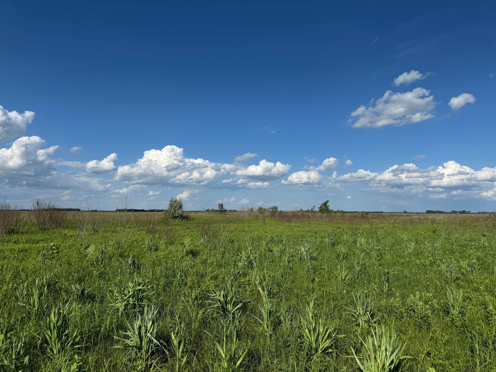 TBD County Road 26, Rothsay, Minnesota image 31