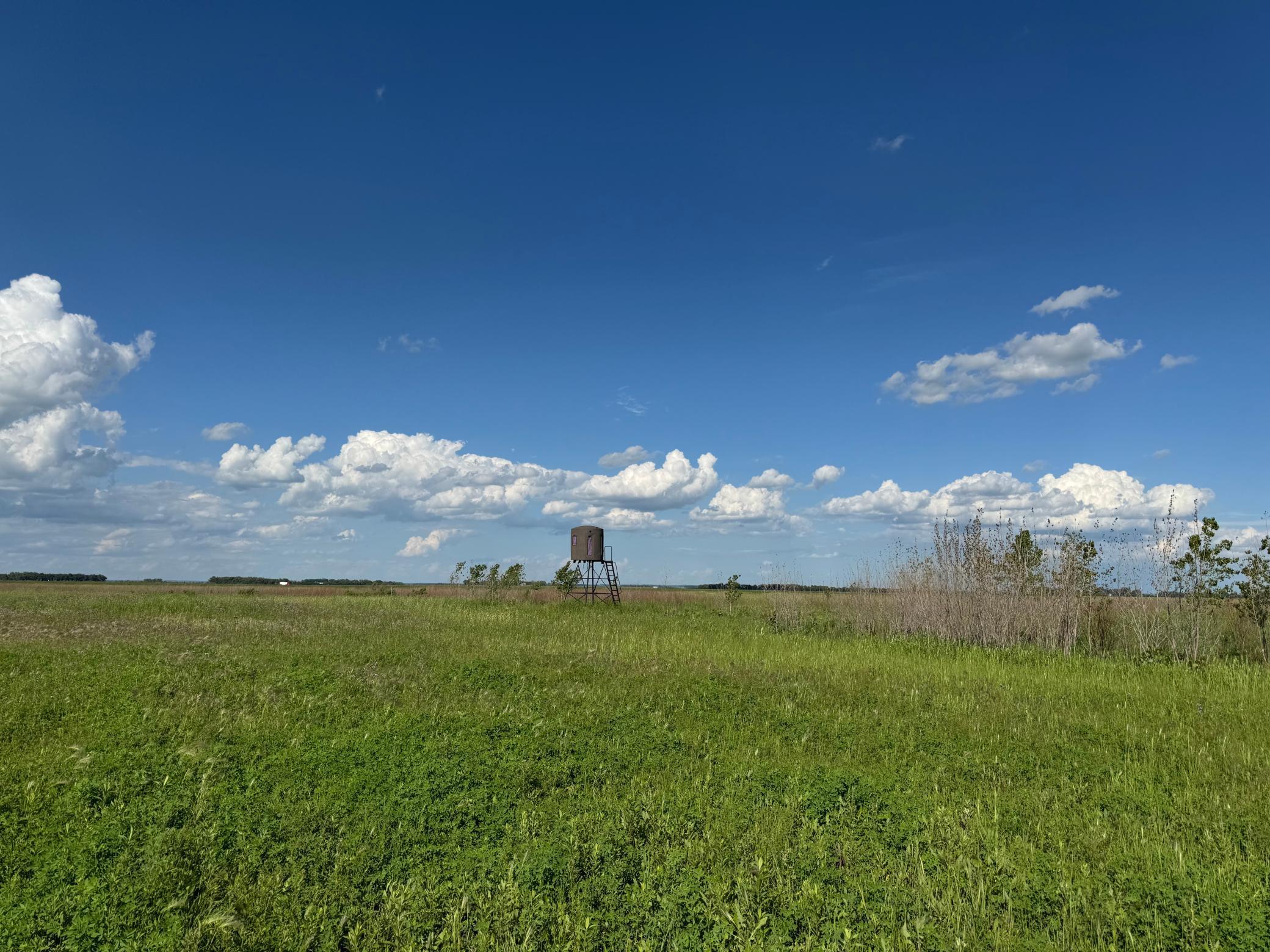 TBD County Road 26, Rothsay, Minnesota image 29