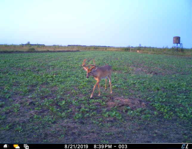 TBD County Road 26, Rothsay, Minnesota image 49